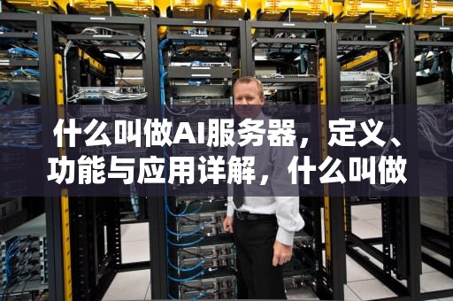 什么叫做AI服务器，定义、功能与应用详解，什么叫做AI服务器