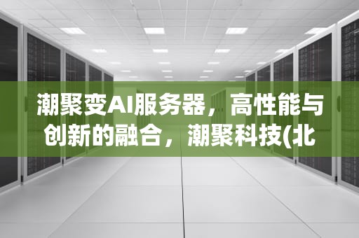 潮聚变AI服务器，高性能与创新的融合，潮聚科技(北京)有限公司