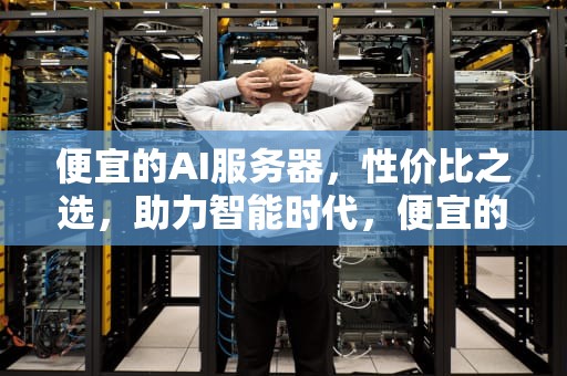 便宜的AI服务器，性价比之选，助力智能时代，便宜的ai服务器推荐