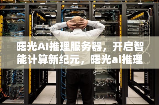 曙光AI推理服务器，开启智能计算新纪元，曙光ai推理服务器