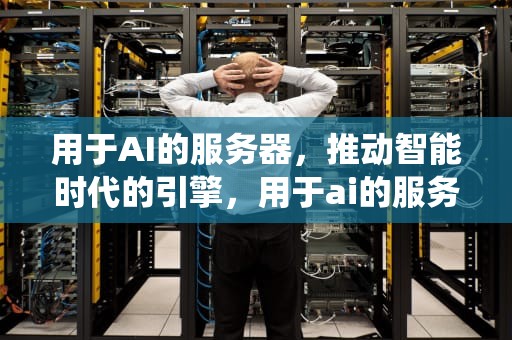 用于AI的服务器，推动智能时代的引擎，用于ai的服务器系统有哪些类型