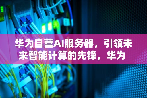 华为自营AI服务器，引领未来智能计算的先锋，华为 ai 平台