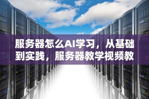 服务器怎么AI学习，从基础到实践，服务器教学视频教程