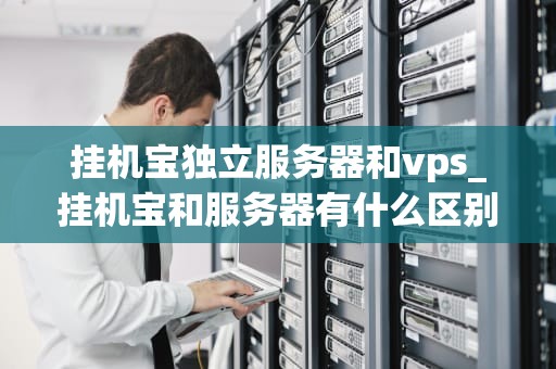 挂机宝独立服务器和vps_挂机宝和服务器有什么区别_挂机宝独立服务器与VPS的比较分析