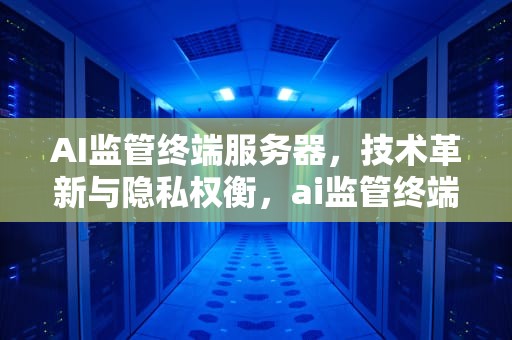 AI监管终端服务器，技术革新与隐私权衡，ai监管终端服务器是什么