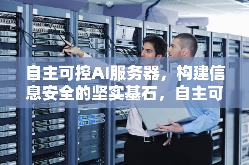 自主可控AI服务器，构建信息安全的坚实基石，自主可控ai服务器是什么