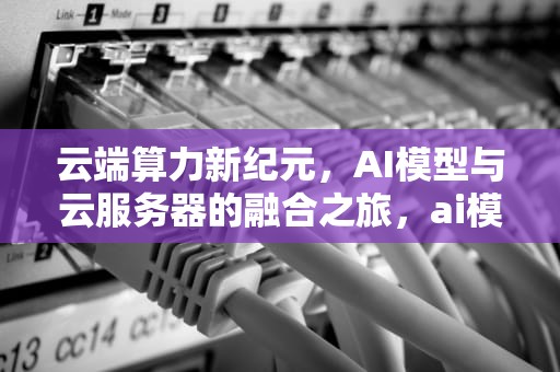 云端算力新纪元，AI模型与云服务器的融合之旅，ai模型云服务器是什么