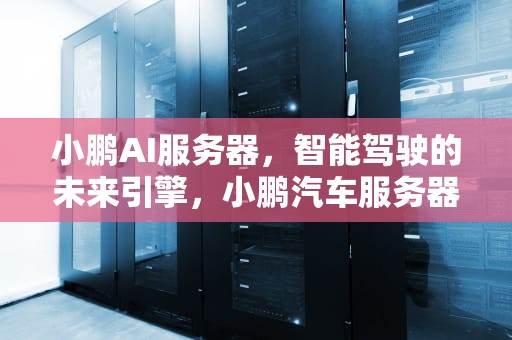 小鹏AI服务器，智能驾驶的未来引擎，小鹏汽车服务器在哪