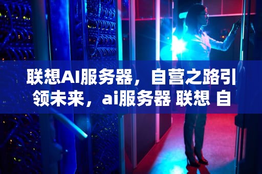 联想AI服务器，自营之路引领未来，ai服务器 联想 自营官网