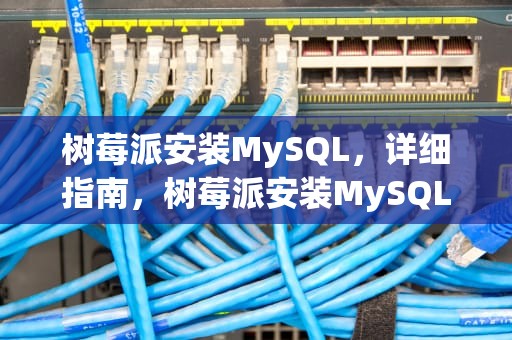 树莓派安装MySQL，详细指南，树莓派安装MySQL查看