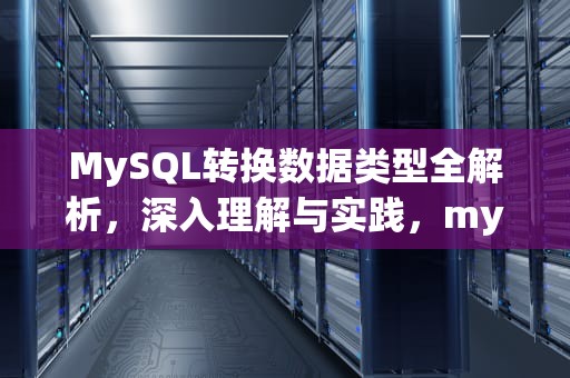MySQL转换数据类型全解析，深入理解与实践，mysql 转换类型