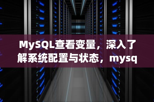 MySQL查看变量，深入了解系统配置与状态，mysql 查看变量的值