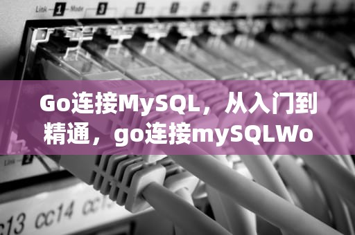 Go连接MySQL，从入门到精通，go连接mySQLWorkbench的步骤和注意事项