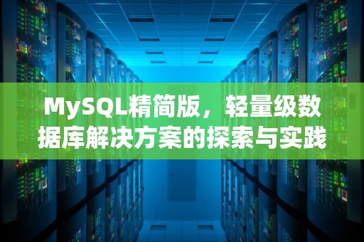 MySQL精简版，轻量级数据库解决方案的探索与实践，mysql 精简版