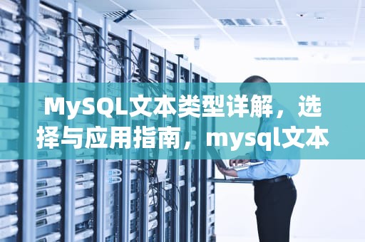 MySQL文本类型详解，选择与应用指南，mysql文本类型字段