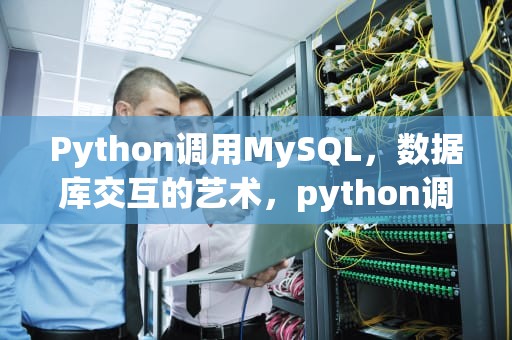 Python调用MySQL，数据库交互的艺术，python调用MySQL