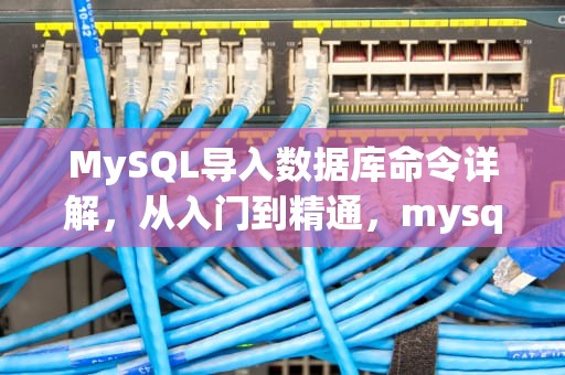 MySQL导入数据库命令详解，从入门到精通，mysql数据库导入数据命令