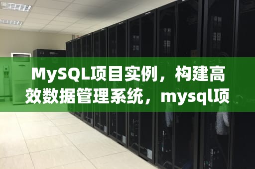 MySQL项目实例，构建高效数据管理系统，mysql项目案例