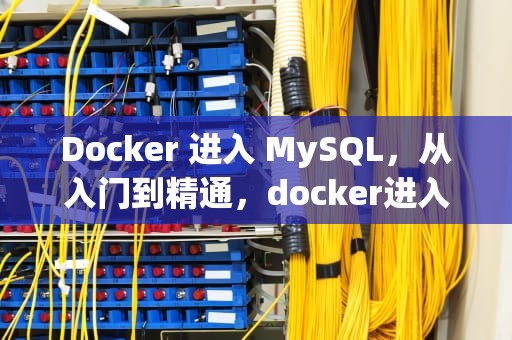 Docker 进入 MySQL，从入门到精通，docker进入mysql容器的命令