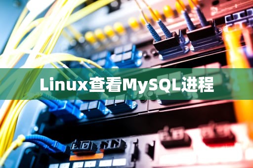 Linux查看MySQL进程