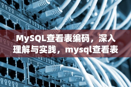 MySQL查看表编码，深入理解与实践，mysql查看表编码格式