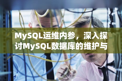MySQL运维内参，深入探讨MySQL数据库的维护与优化，mysql运维内参 pdf
