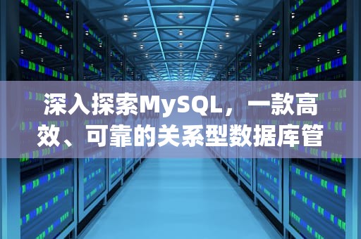 深入探索MySQL，一款高效、可靠的关系型数据库管理系统，mysql you