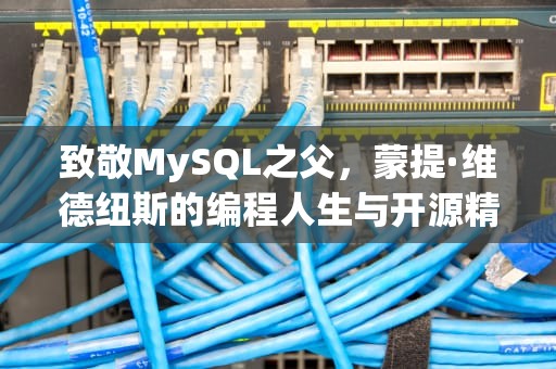 致敬MySQL之父，蒙提·维德纽斯的编程人生与开源精神，MySQL之父
