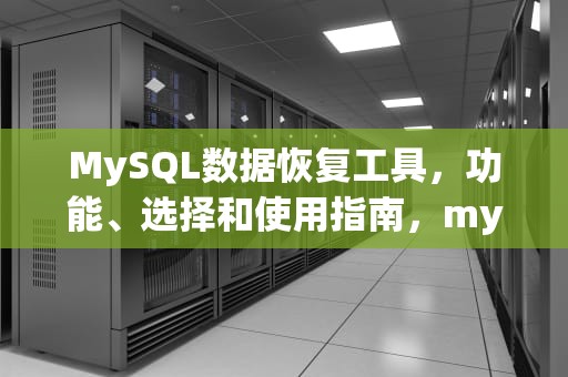 MySQL数据恢复工具，功能、选择和使用指南，mysql数据库恢复工具