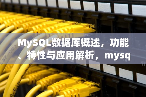 MySQL数据库概述，功能、特性与应用解析，mysql数据库概述和特点