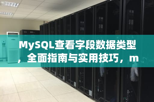 MySQL查看字段数据类型，全面指南与实用技巧，mysql查看字段数据类型是什么