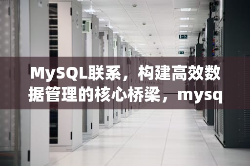 MySQL联系，构建高效数据管理的核心桥梁，mysql联系的三种类型