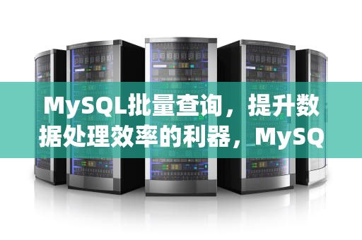 MySQL批量查询，提升数据处理效率的利器，MySQL批量查询表结构语句