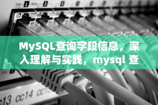 MySQL查询字段信息，深入理解与实践，mysql 查询字段信息