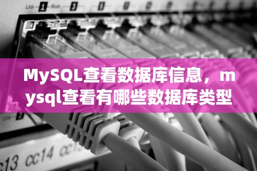 MySQL查看数据库信息，mysql查看有哪些数据库类型