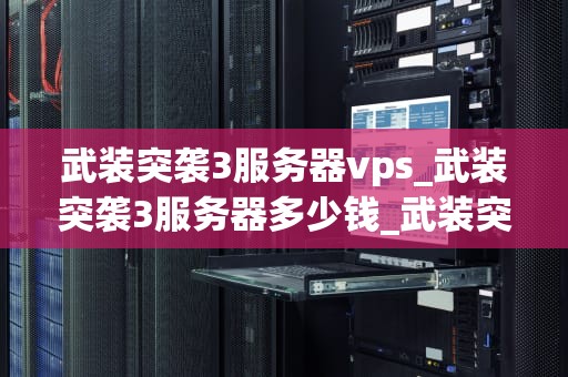 武装突袭3服务器vps_武装突袭3服务器多少钱_武装突袭3服务器VPS的全面解析