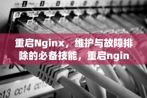 重启Nginx，维护与故障排除的必备技能，重启nginx命令