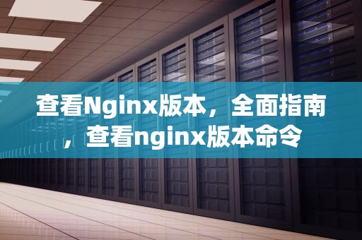 查看Nginx版本，全面指南，查看nginx版本命令