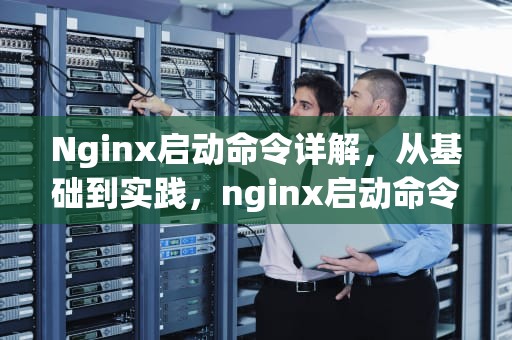 Nginx启动命令详解，从基础到实践，nginx启动命令和停止命令