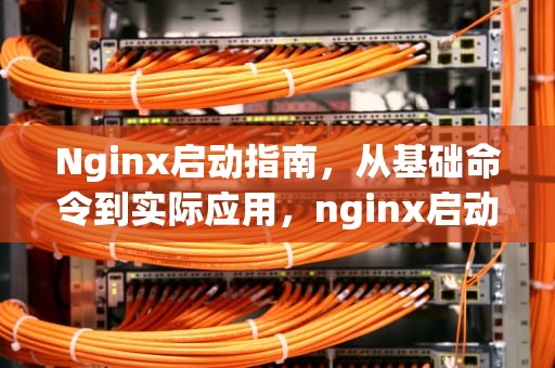 Nginx启动指南，从基础命令到实际应用，nginx启动命令和停止命令