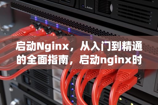 启动Nginx，从入门到精通的全面指南，启动nginx时提示pid没有