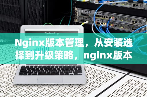 Nginx版本管理，从安装选择到升级策略，nginx版本怎么查看