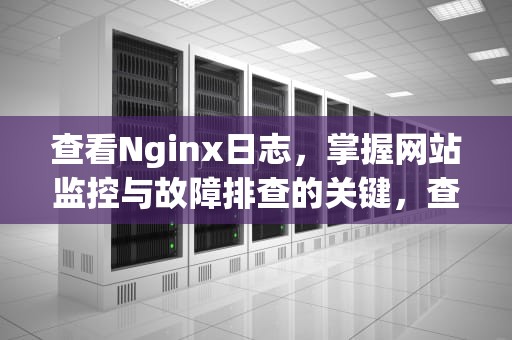 查看Nginx日志，掌握网站监控与故障排查的关键，查看nginx日志最多访问次数的ip