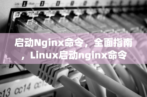 启动Nginx命令，全面指南，Linux启动nginx命令
