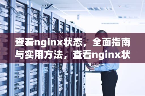 查看nginx状态，全面指南与实用方法，查看nginx状态 linux