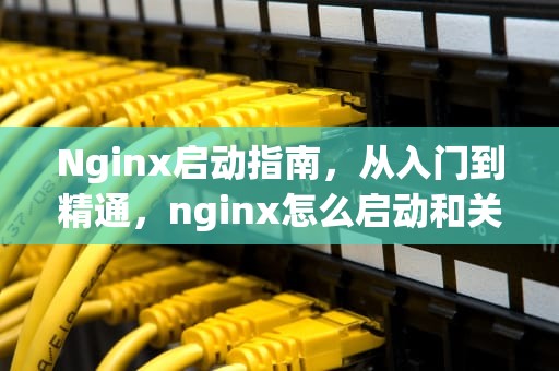 Nginx启动指南，从入门到精通，nginx怎么启动和关闭