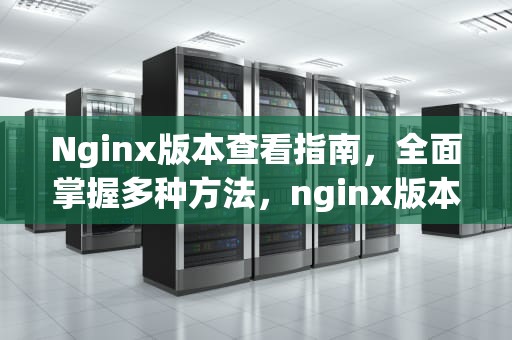Nginx版本查看指南，全面掌握多种方法，nginx版本查看linux
