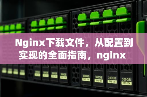 Nginx下载文件，从配置到实现的全面指南，nginx download