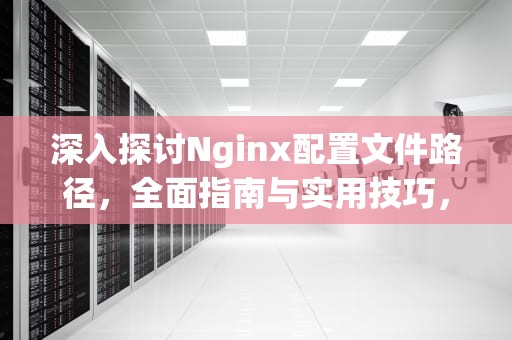 深入探讨Nginx配置文件路径，全面指南与实用技巧，nginx配置文件路径怎么查