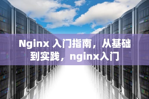 Nginx 入门指南，从基础到实践，nginx入门